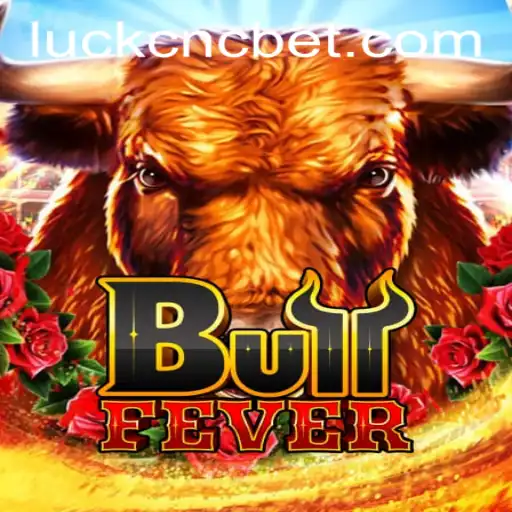 The Excitement of BullFever: An In-Depth Look