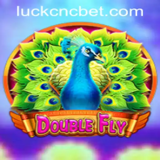 DoubleFly: A Thrilling Adventure in Gaming