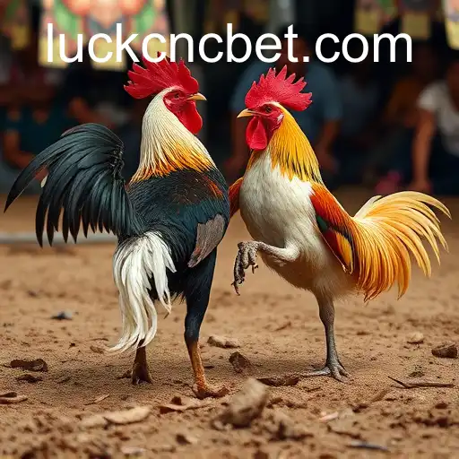 The Thrilling World of Sabong Games and the Role of CNCBet PH Login